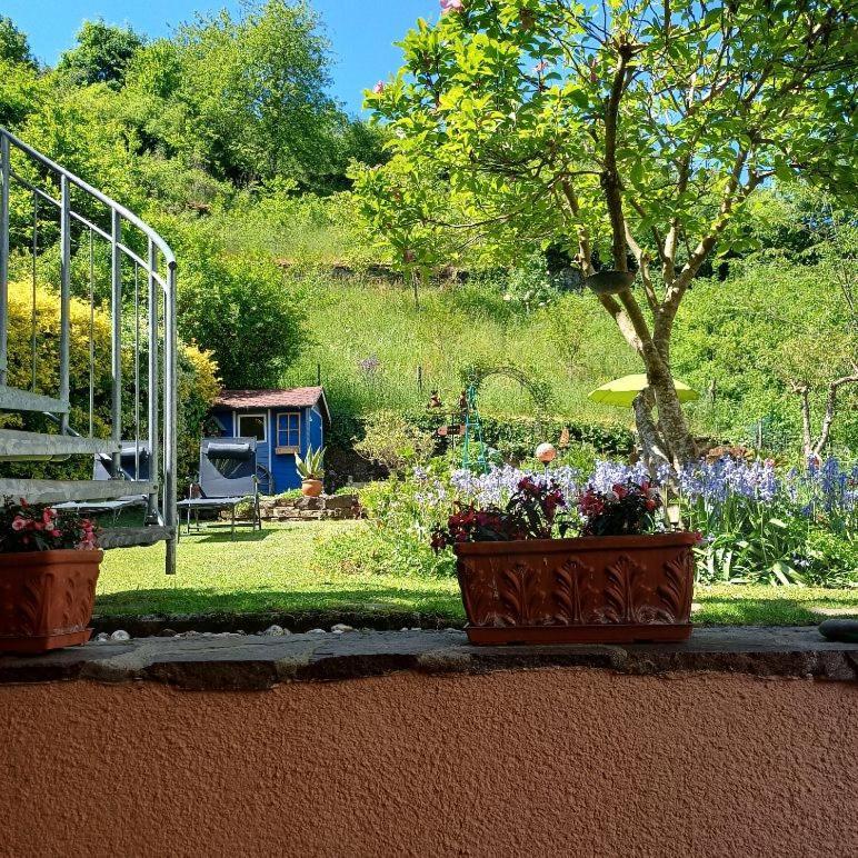 Ferienwohnung Haus Bleser Кохем Екстериор снимка